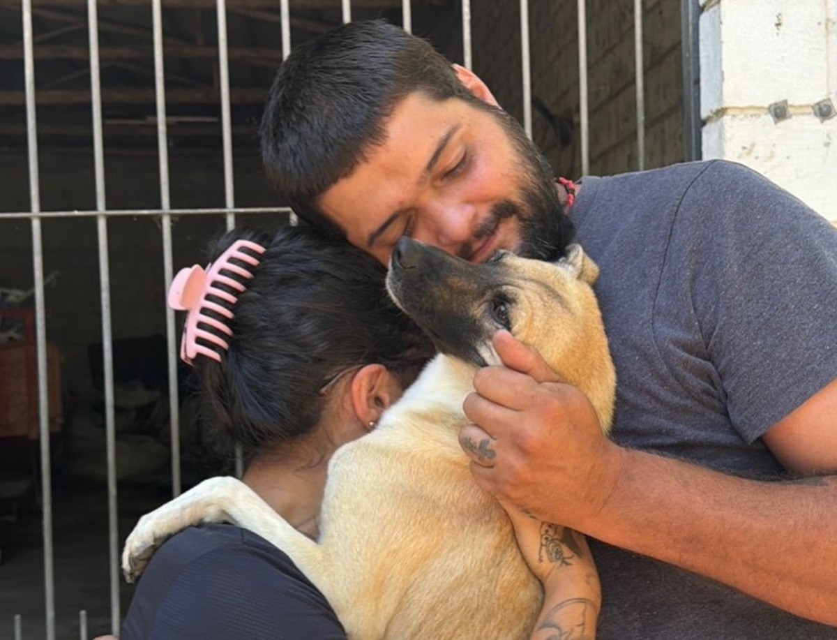 Cão reencontra tutores em mutirão de castração após 4 meses desaparecido em SC: 'Já tinha perdido as esperanças'