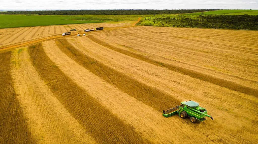 MT consolida safra 25/26 com produção recorde e mantém liderança na soja há 26 safras