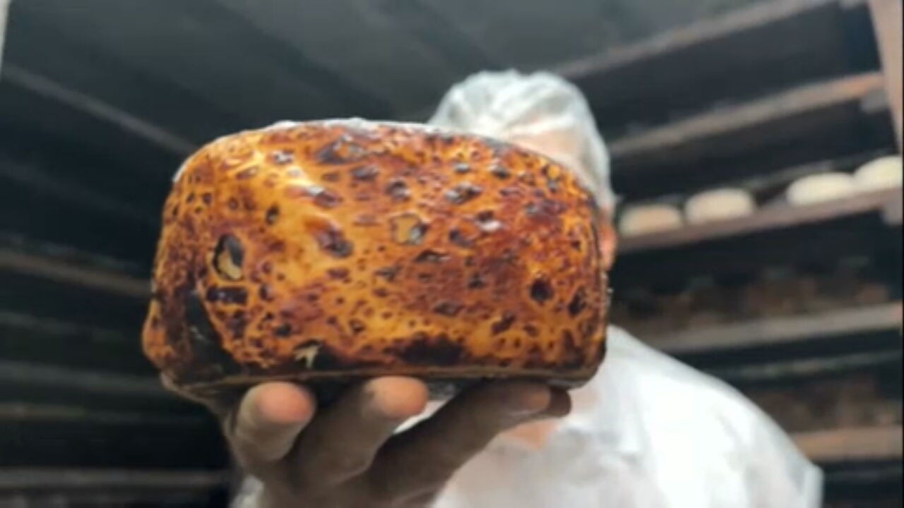 Caverna subterrânea e fungos naturais ajudam produtor a criar queijos premiados em Goiás