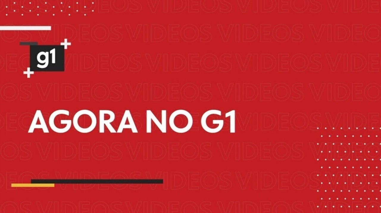 Influenciadora em ética de IA tem redes sociais derrubadas