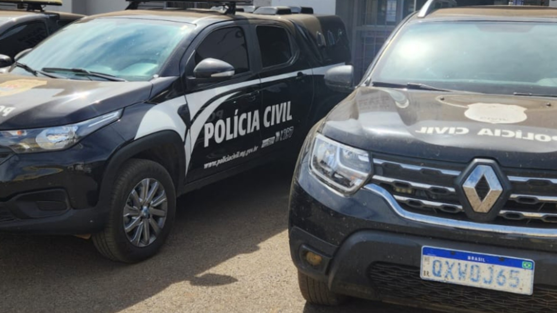 Mulher que cuidava da casa dos tutores é indiciada por morte cruel de gato em MG