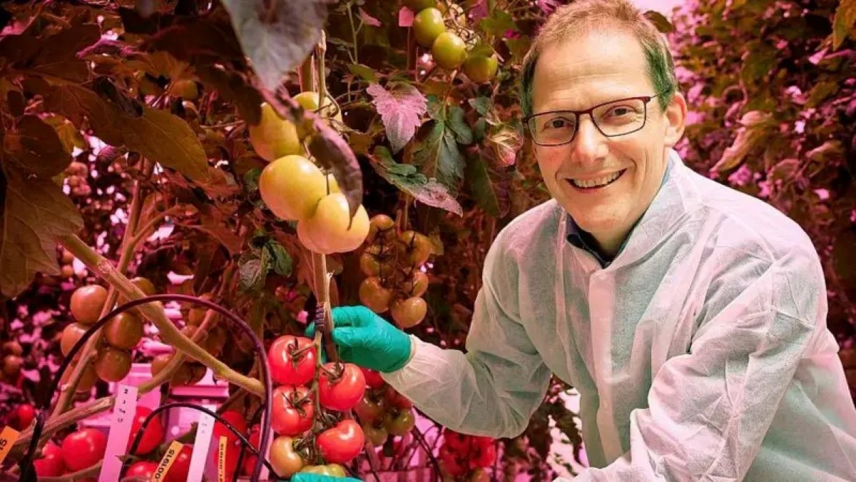 Como Países Baixos se tornaram terceiro maior exportador de alimentos
