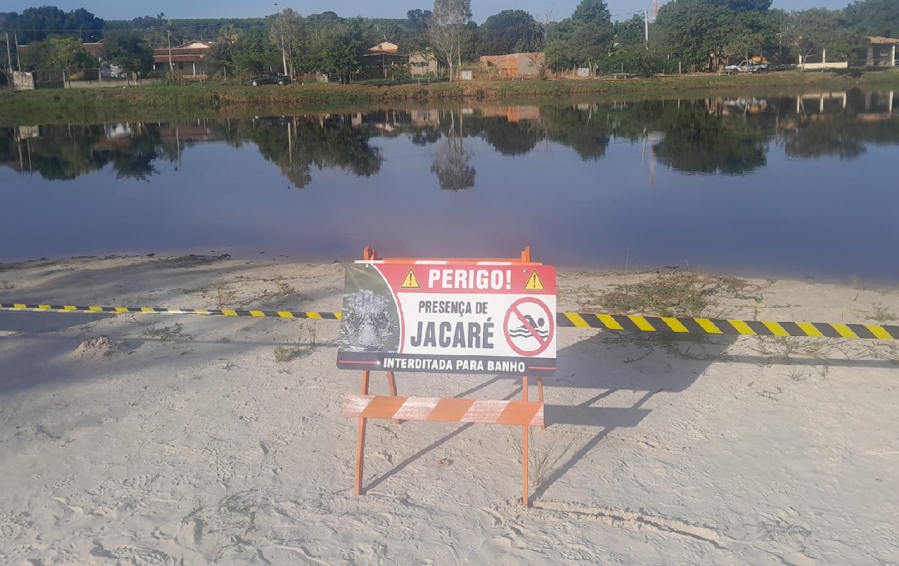 Prefeitura de Botucatu interdita lagoa após aparição de jacaré