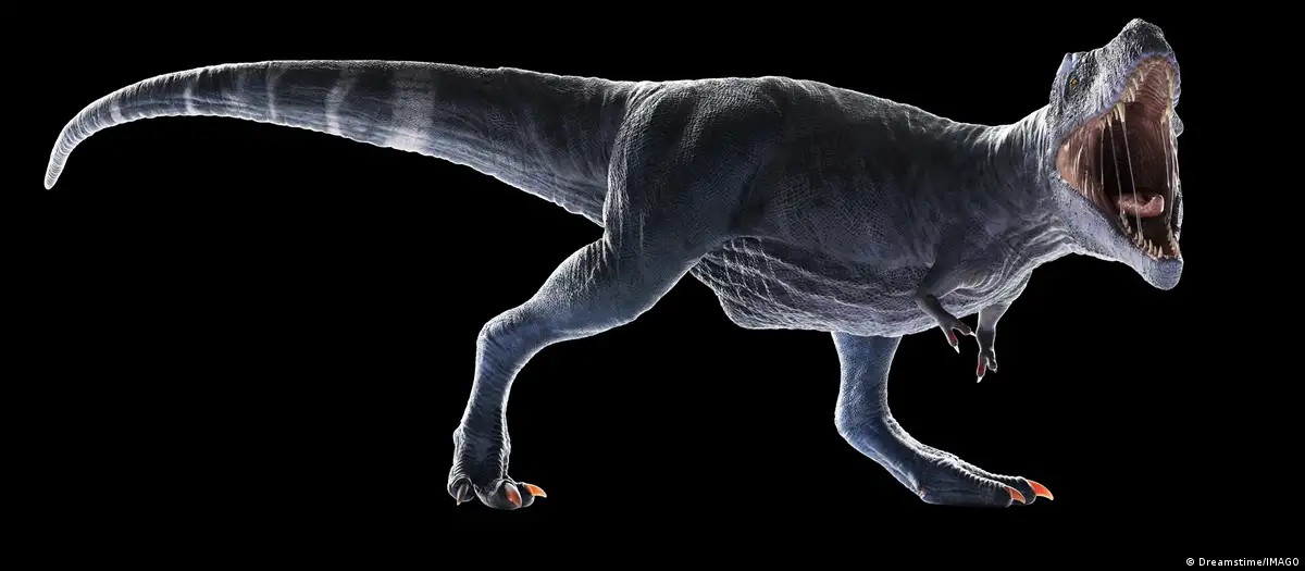 Desvendado o mistério dos braços curtos do T-Rex