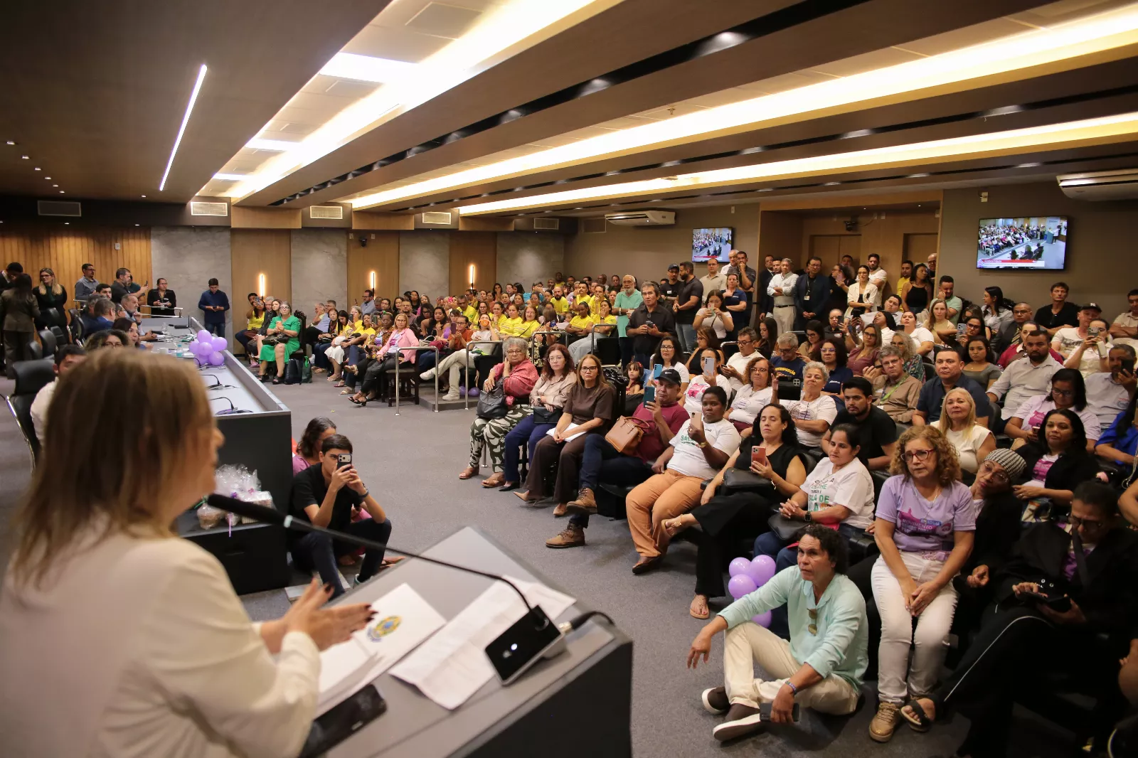 Audiência pública debate cumprimento de lei federal que garante reconhecimento a profissionais da educação infantil