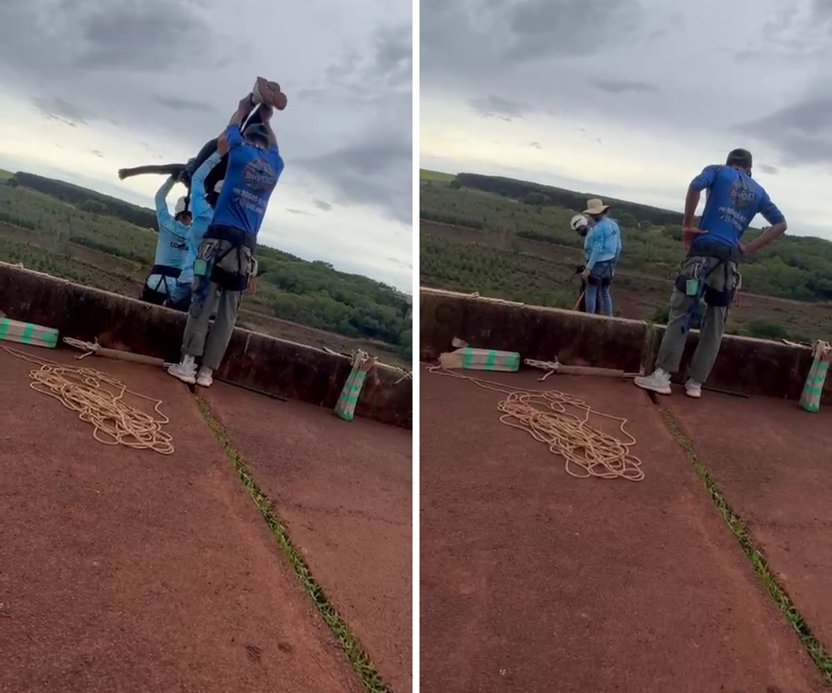 Morte em rope jump completa 1 semana: o que ainda falta saber sobre tragédia de jovem lançada sem cordas