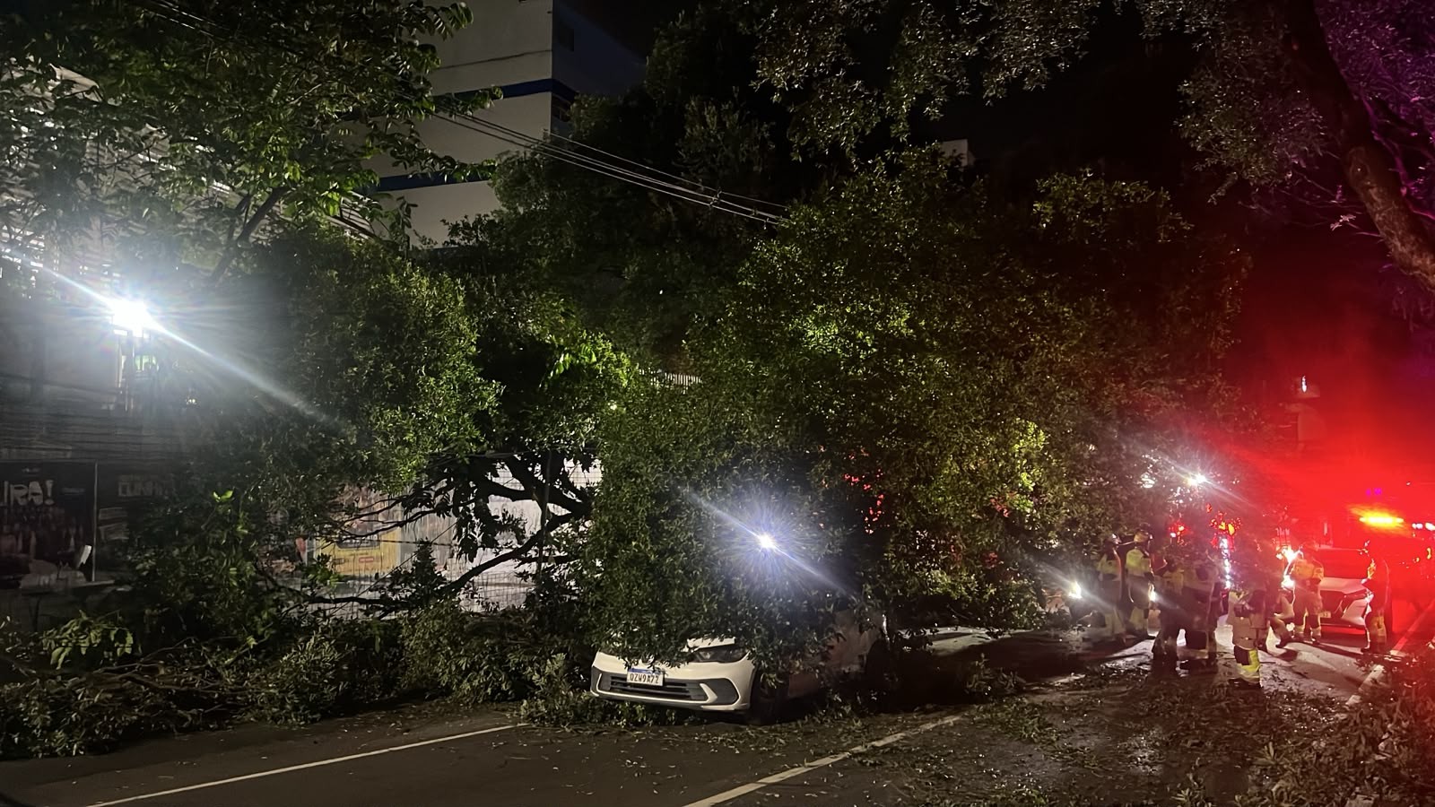 Árvore cai sobre carros na Avenida Getúlio Vargas e interdita parte da via em Manaus