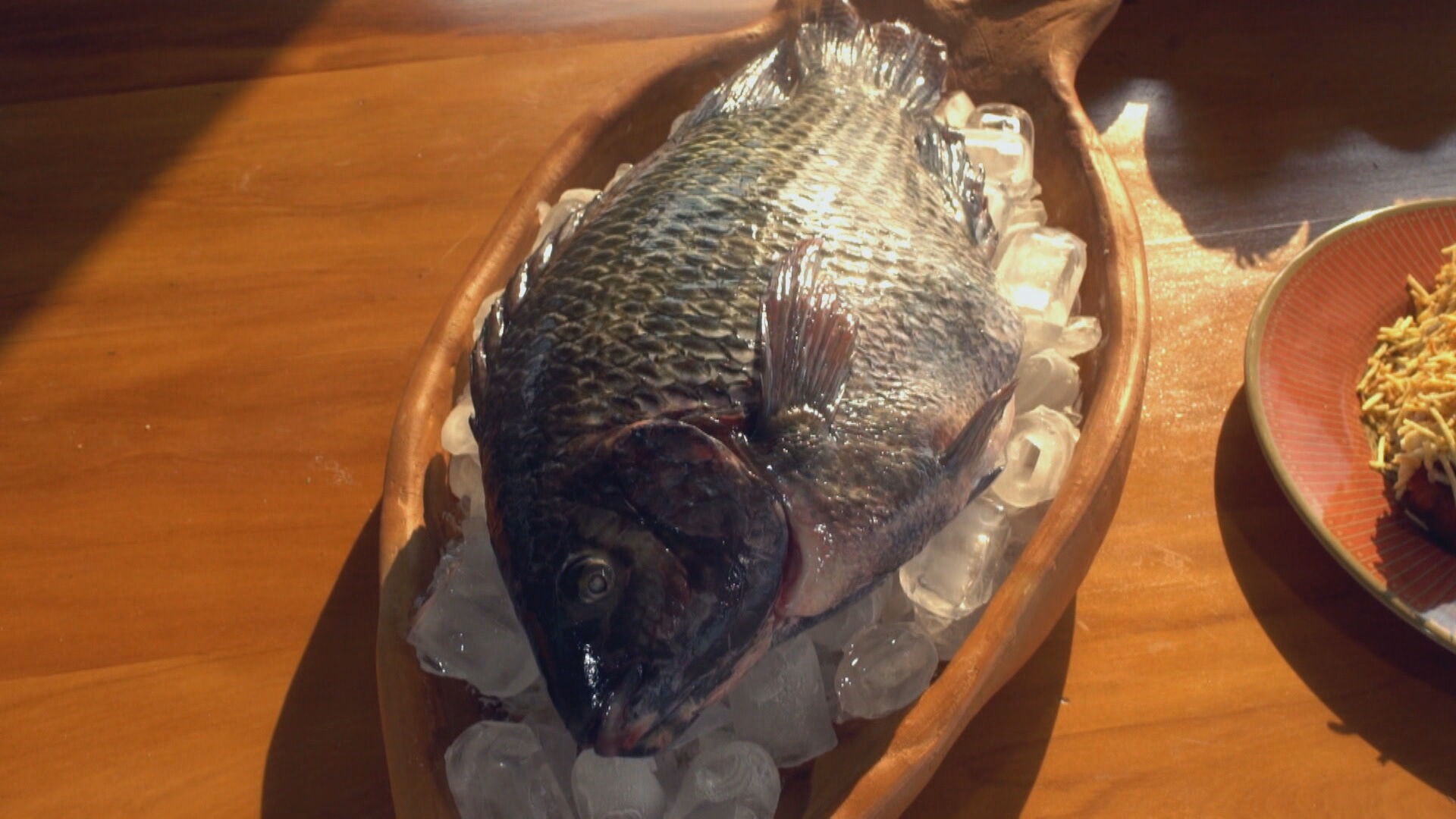 Tarifa dos EUA sobre tilápia brasileira pode baratear o peixe? Entenda