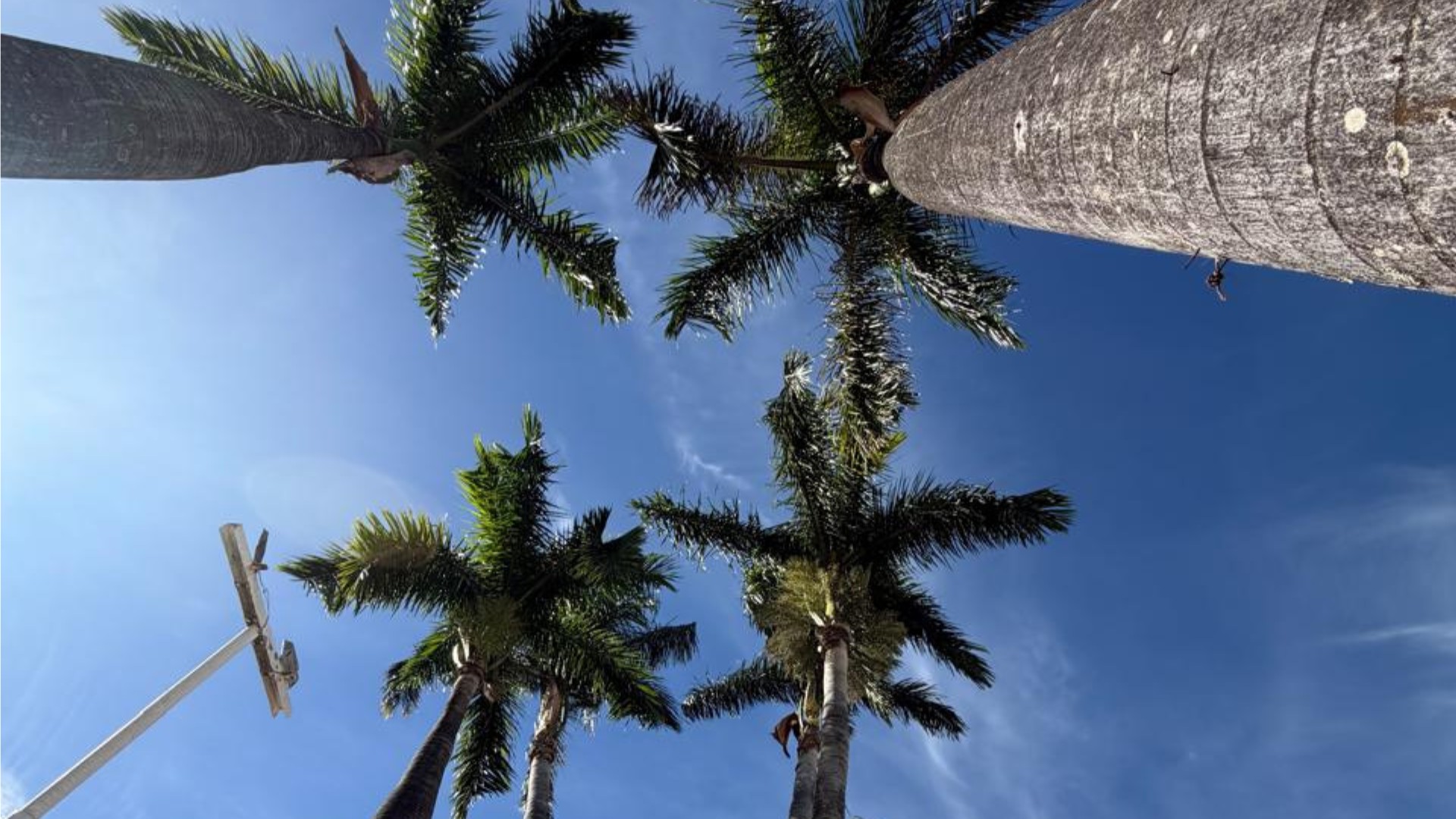 Previsão do tempo Triângulo Mineiro: calor e tempo seco na semana
