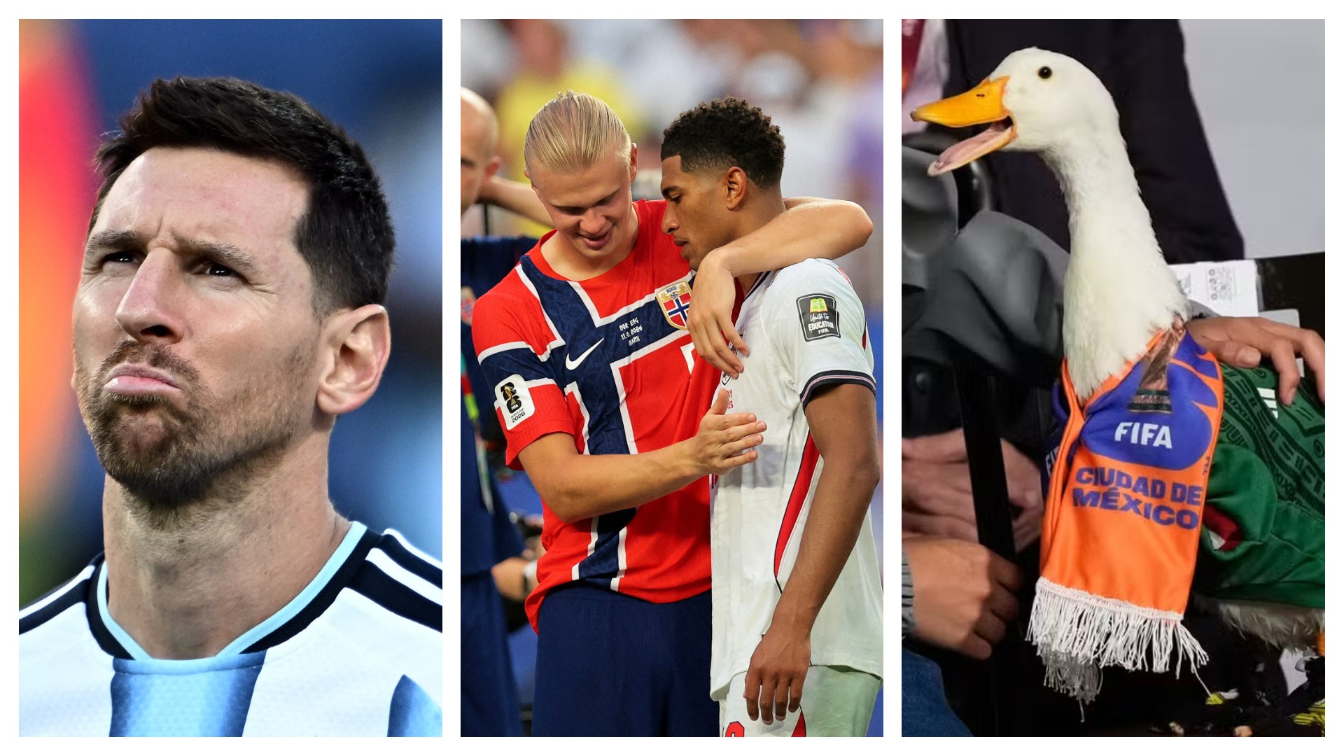Seleção de memes: g1 lista os melhores e os piores virais da Copa