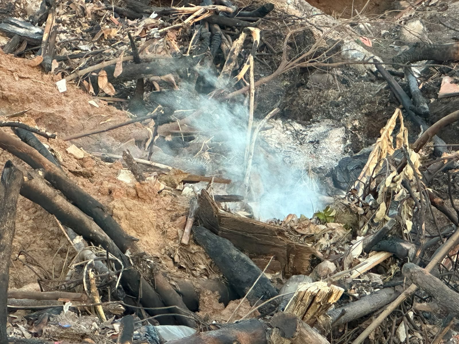 Incêndio em depósito de galhos mobiliza bombeiros e Defesa Civil