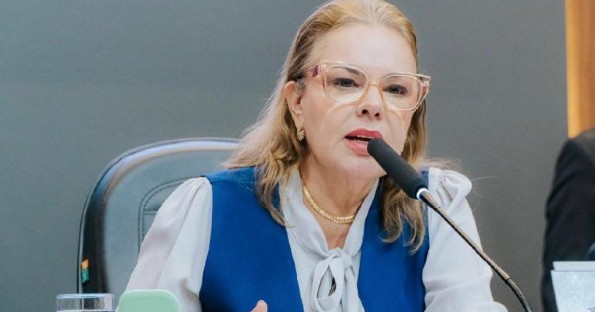 Paula Calil cobra prevenção após Mato Grosso registrar 35 feminicídios em 2026