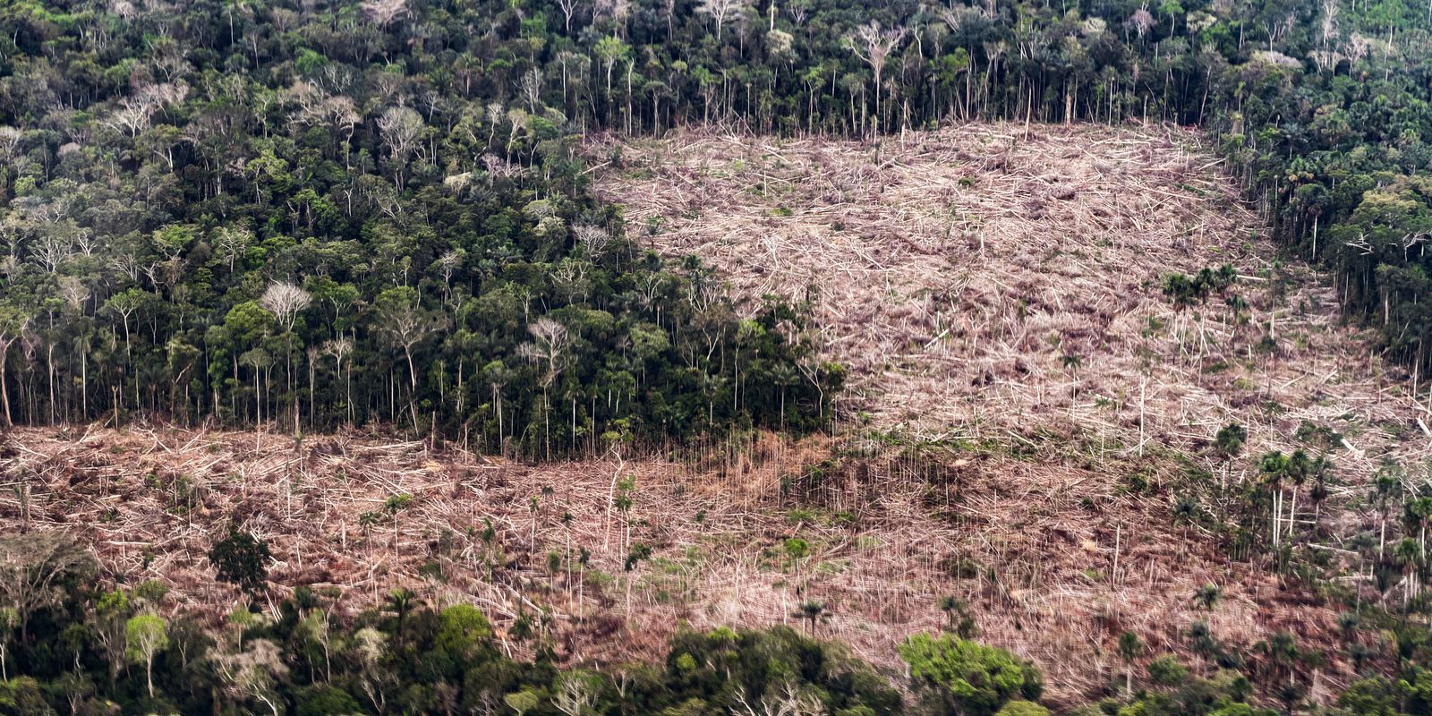 Conheça as propostas de Lula e Flávio para enfrentar a crise climática